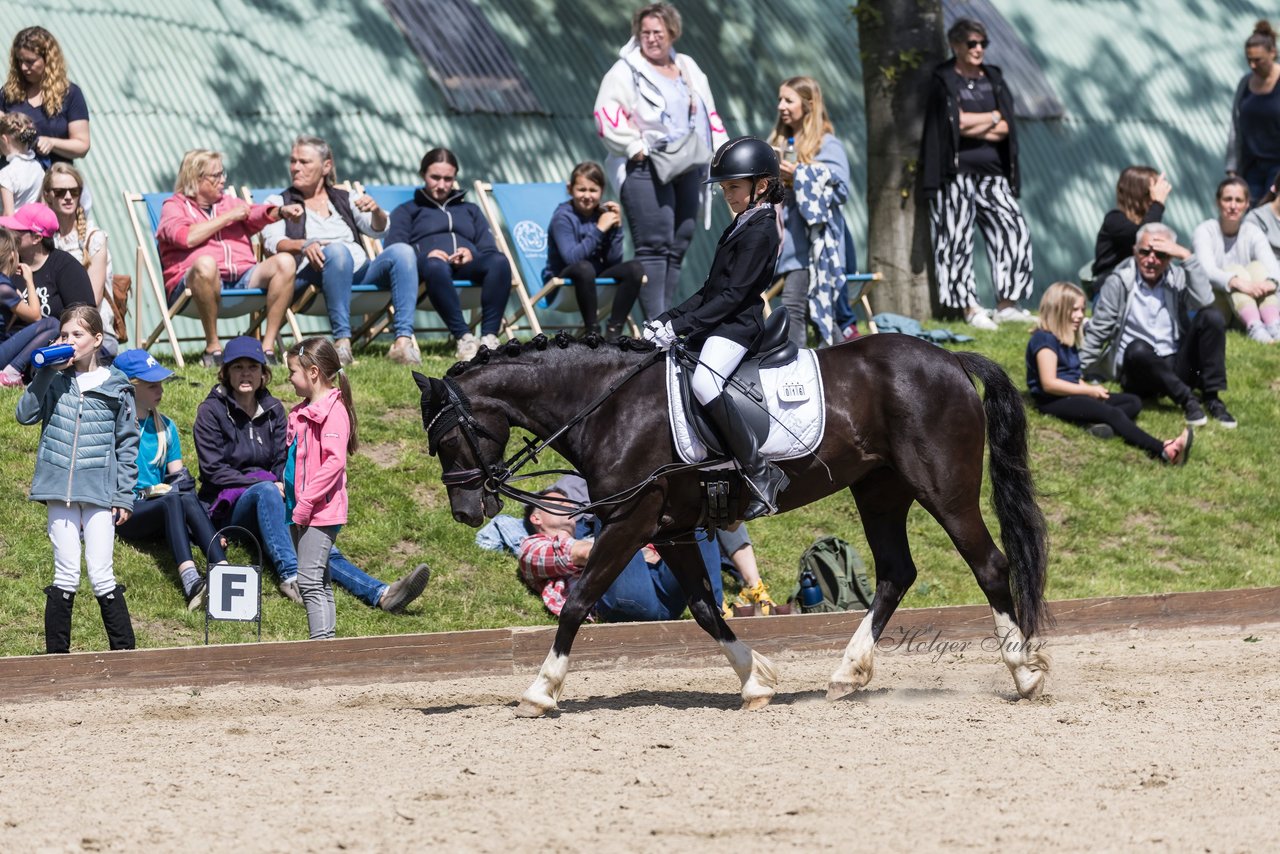 Bild 521 - Pony Akademie Turnier